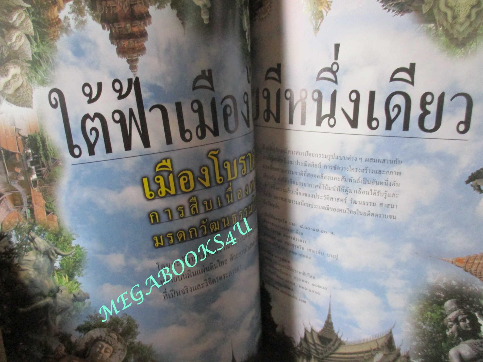 นิตยสารสารคดี ฉบับที่162 สิงหาคม 2541 รุ่งอรุณแห่งวิวัฒนาการสู่ลิงใหญ่บนแผ่นดินไทย การค้นหาปริศนามนุษย์