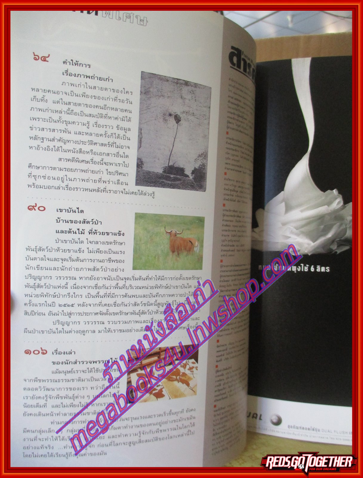 นิตยสารสารคดี ฉบับที่169 ปีที่15 มีนาคม 2542;เขาบันได,ภาพถ่ายเก่า,นักสำรวจพรรณไม้,ภัยแล้ง'42