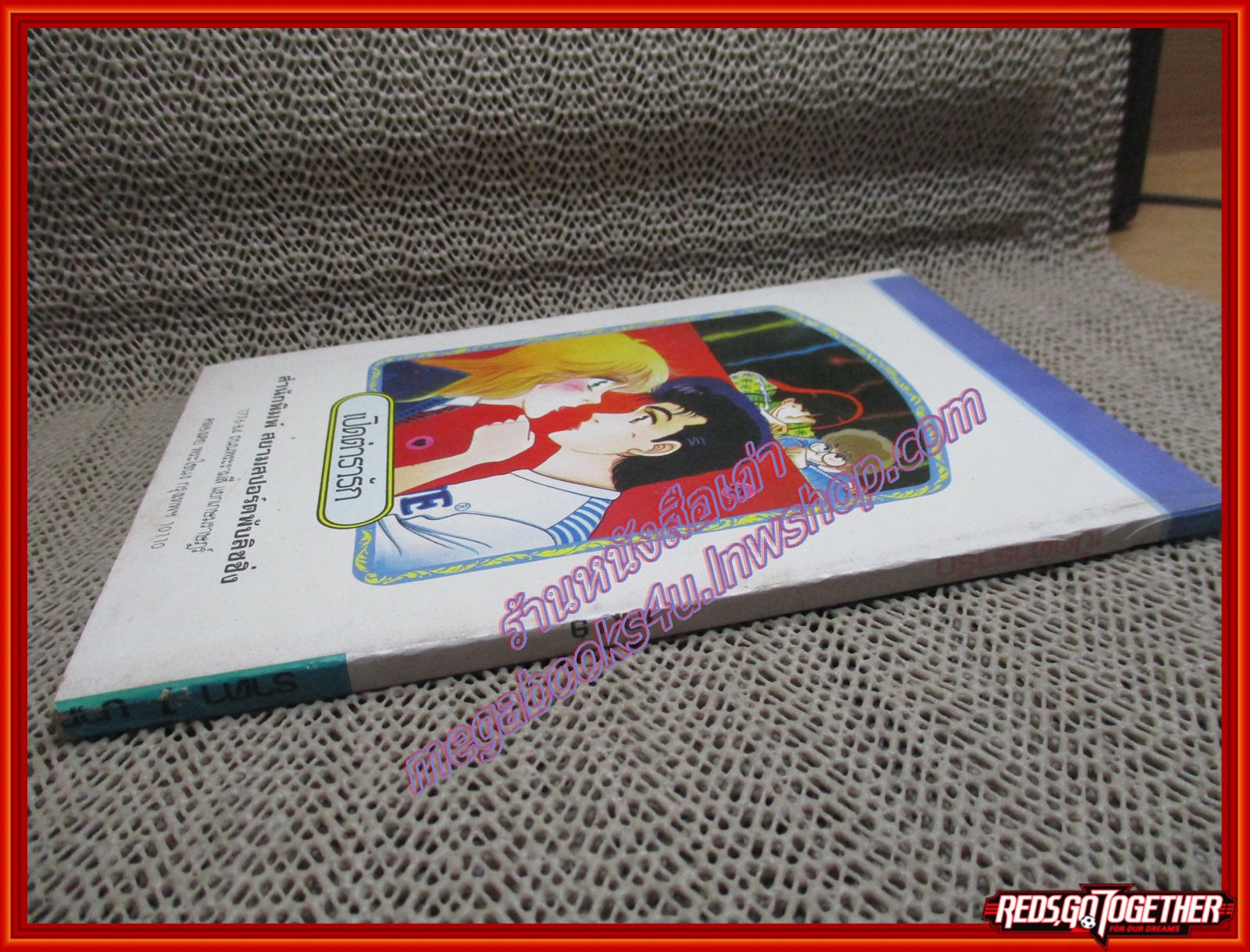 การ์ตูนบ้าน เปิดตำรารัก เล่ม09 (11เล่มจบ)