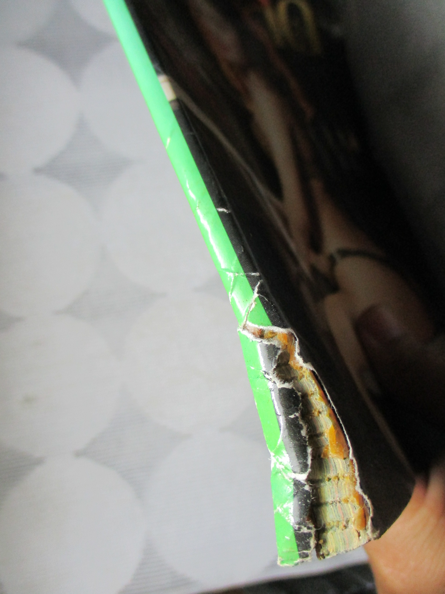 SEXY PHOTO ALBUM SPECIAL ISSUE เซ็กซี่เลดี้ สันปกมีรอยฉีกขาด