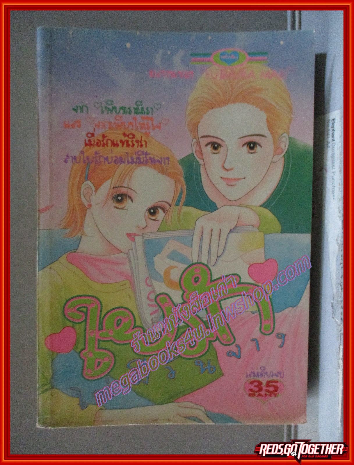 การ์ตูนบ้าน ใยรักไม่มีวันจาง โดย FUJIMURA MARI สนพ.หมึกจีน เล่มเดียวจบ