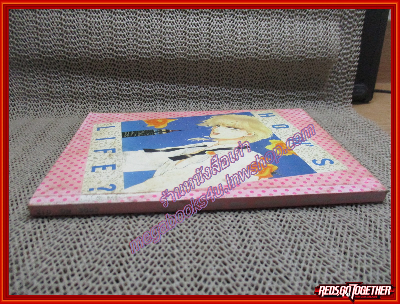 การ์ตูนบ้าน คล้องใจรัก เล่มเดียวจบ มิตรไมตรี