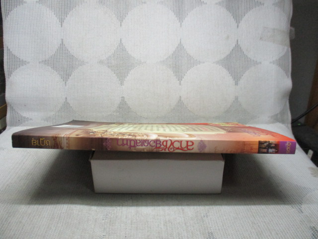 สาวใช้ยอดเสน่หา โดย ชฎายุ สนพ.อิงอร