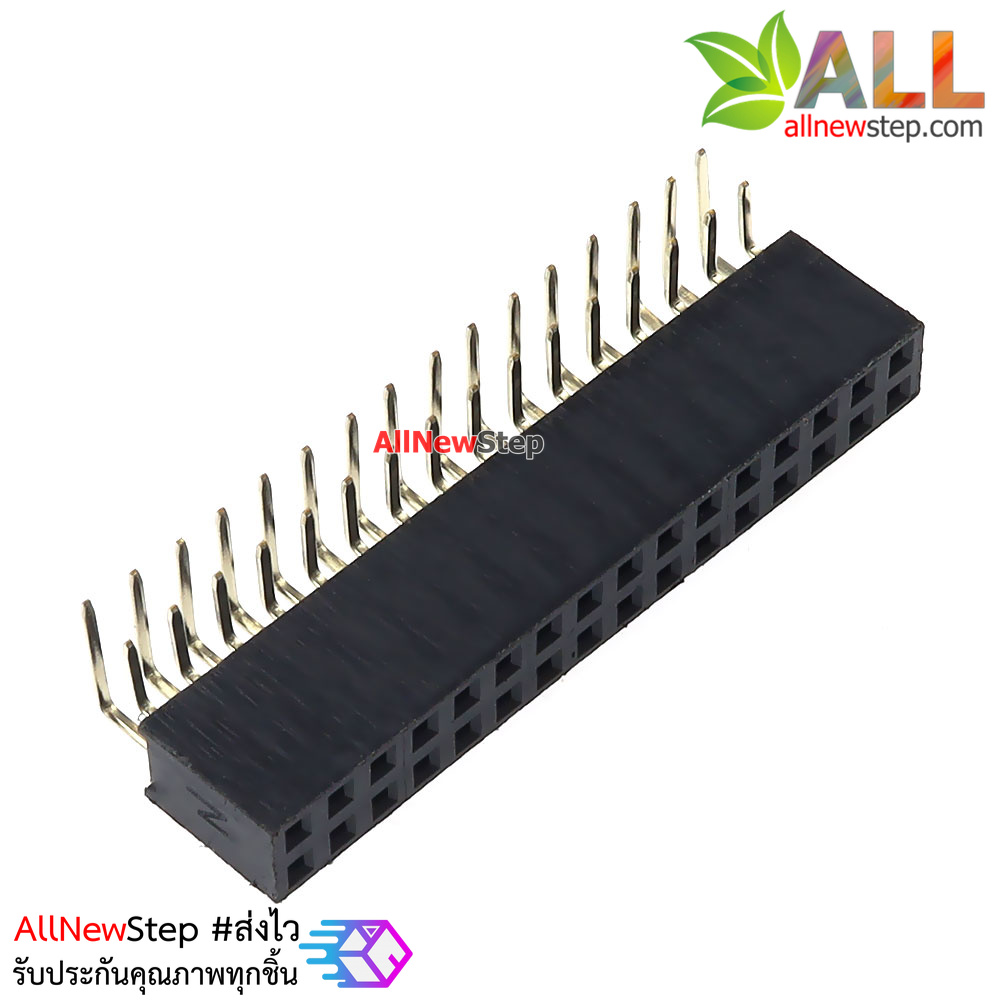 ขาก้างปลาตัวเมียแบบฉาก 2x16 ขา Double Row Hole Jack 2x16 PIN Header 2.54mm