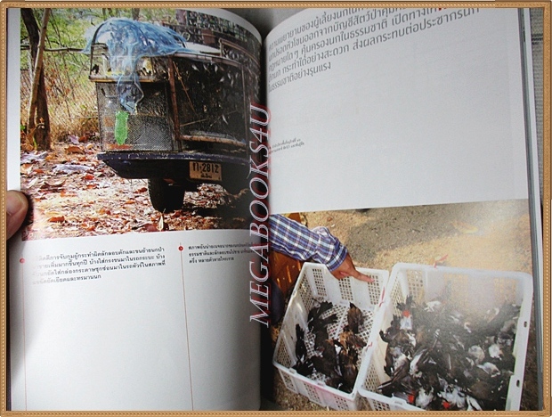 นิตยสารสารคดี ฉบับที่320 ตุลาคม 2554 ฝูงบินพิฆาตGripen สภาพดี