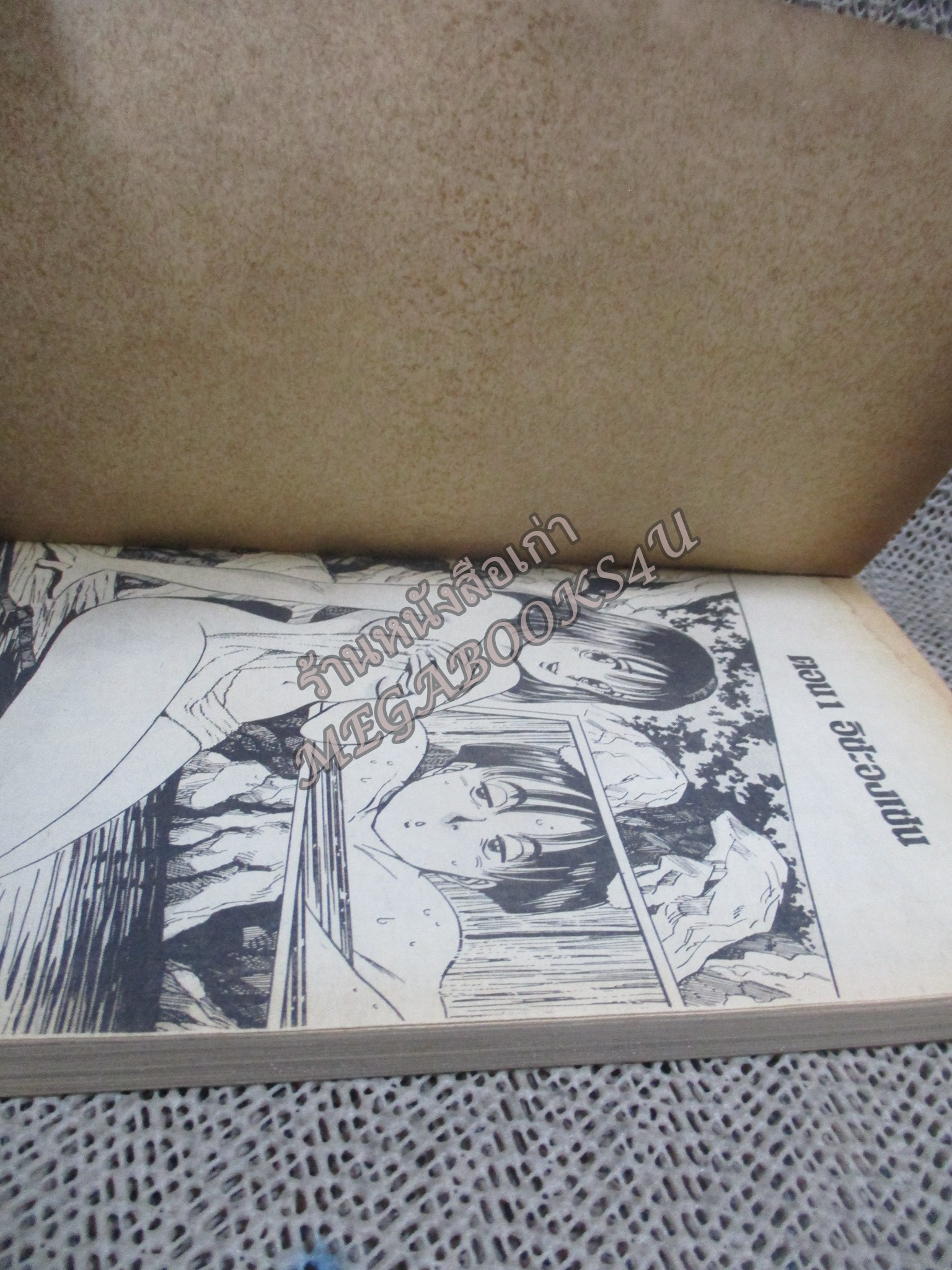 นส.ทุกกระเบียดนิ้ว part2 สนพ. Mr.Comics