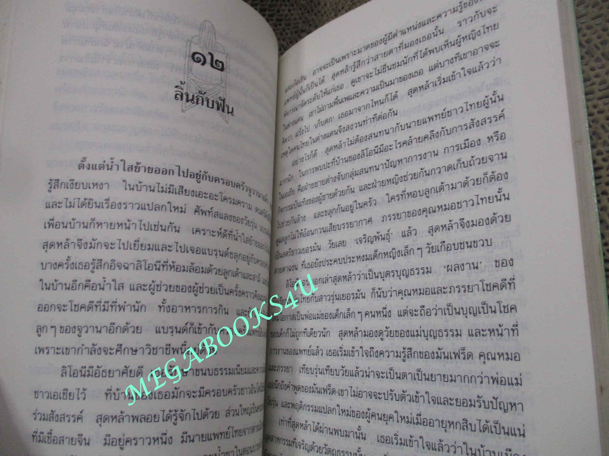 เม็ดข้าวที่ขอบจาน. โดย สีมน