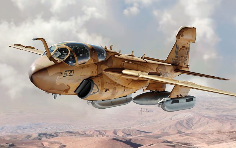 1/48 EA-6B Prowler