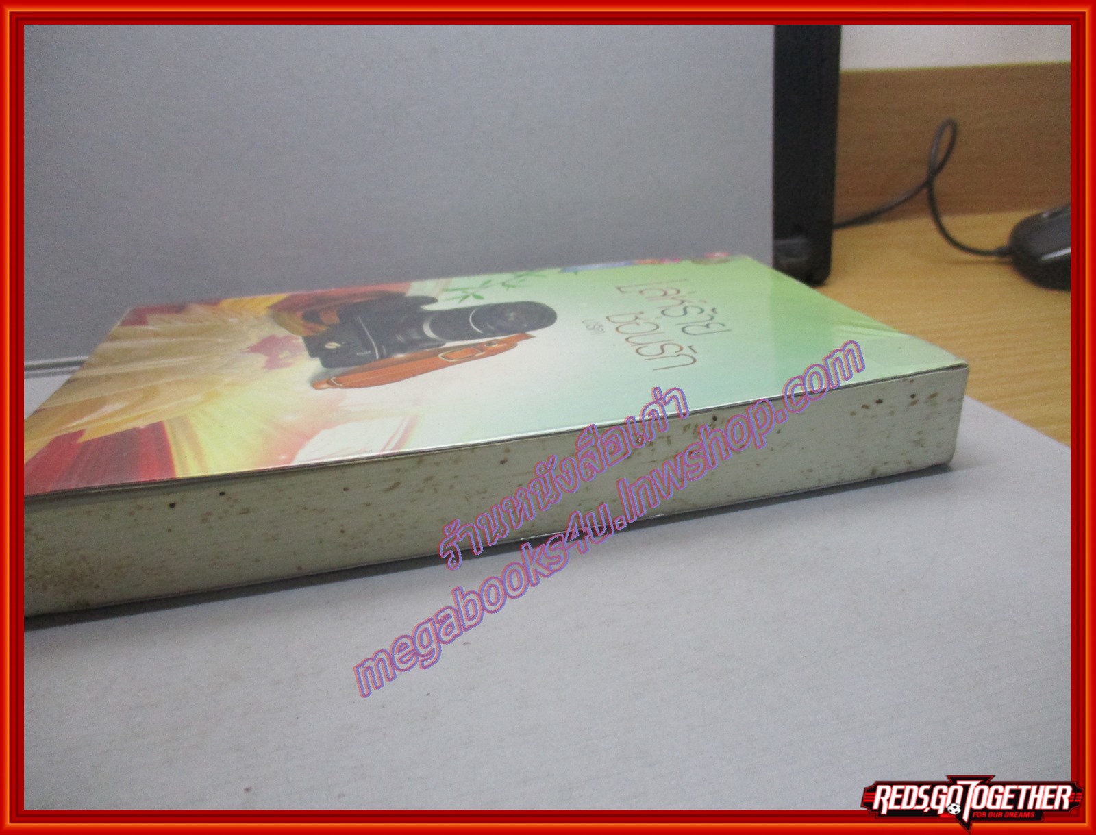 นิยายจากร้านเช่า เล่ห์ร้ายซ่อนรัก/ปาริดา/อินเลิฟ