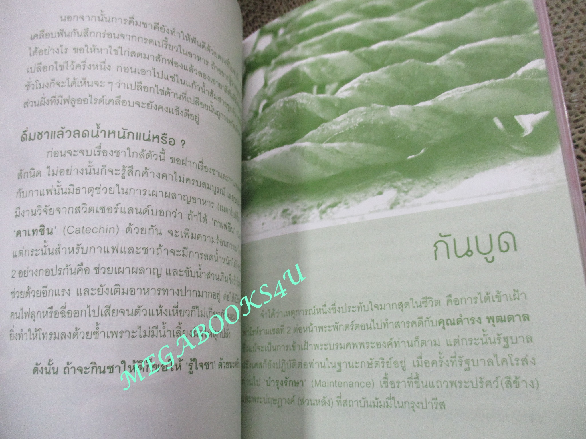 กินอยู่ให้ดี หนีแก่ได้. ผู้เขียน: กฤษดา ศิรามพุช