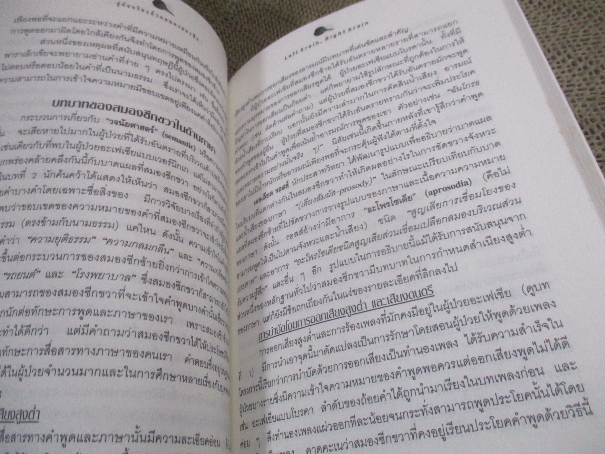 สู่อัจฉริยะด้วยสมองสองซีก / ซอลลี พี สปริงเกอร์ และจอร์จ ดัตช์ / ผู้แปล นายแพทย์ สันต์ สิงหภักดี