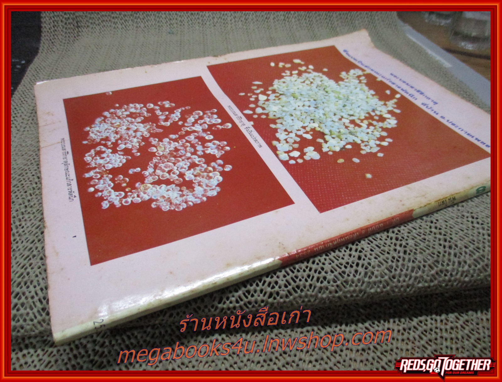 นิตยสารพ้นโลก เล่ม08 ปก2534 ปก หลวงปู่มั่น