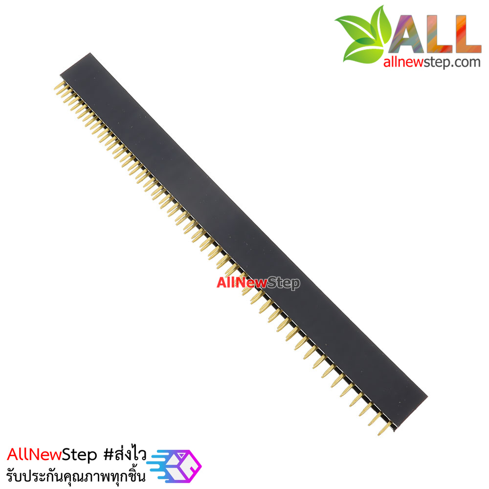 Double Row Hole Jack 2x40 PIN Header 2.54MM