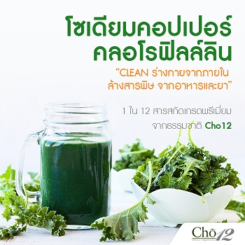 Cho12 โช ทเวลฟ์ by เนย โชติกา