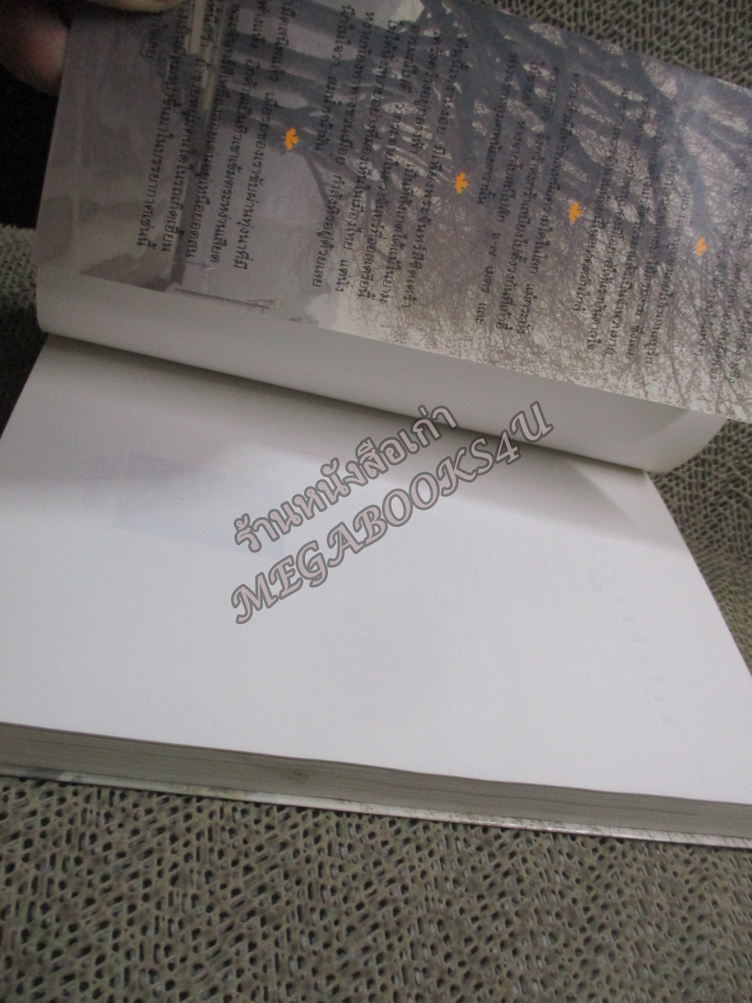 ใบไม้เปลี่ยนสีที่ยุโรป / พิมพ์สี / แพรว / รูปเล่มดี สันกระดาษเปื้อนฝุ่นเล็กน้อย (สารคดีท่องเที่ยว)