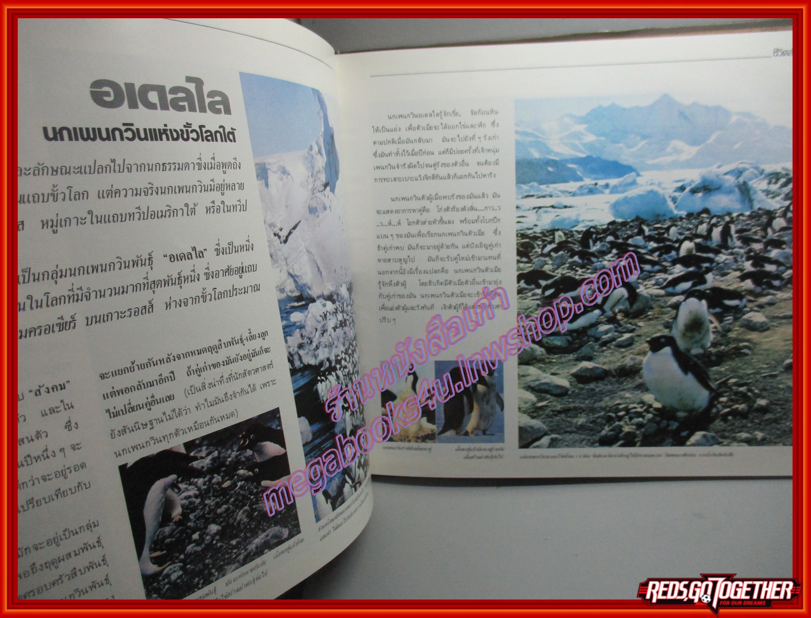 หนังสือ ชีวิตสัตว์โลก ขอแนะนำท่านรู้จักกับชีวิตสัตว์ทั่วโลก โดย อรรถ พันธุ์ขจร ตำหนิ ซ่อมสันปกติดเทป