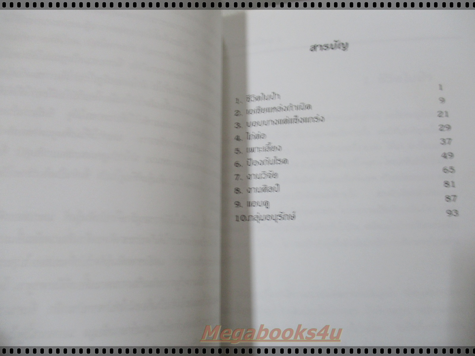 ไก่ป่าเมืองไทย โดย ธงชัย สาระกูล