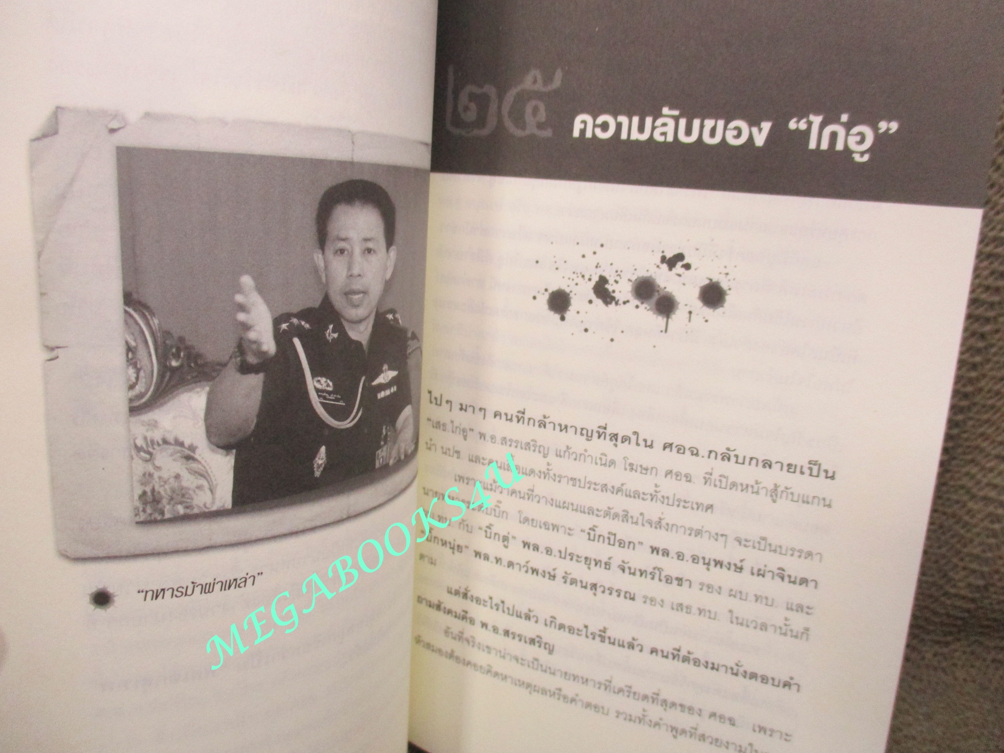 ลับ ลวง เลือด ประวัติศาสตร์สีเลือดเชือด แดง / วาสนา นาน่วม / มติชน