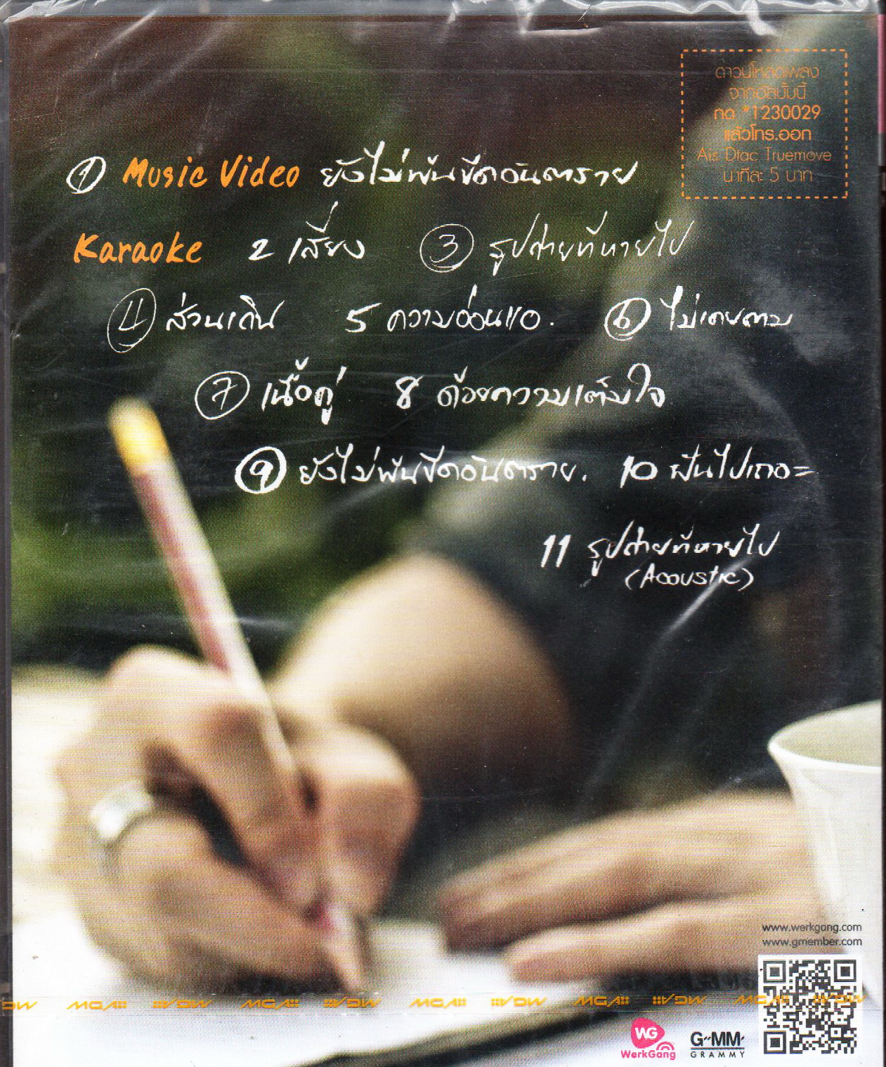 DVD Karaoke,บอย พีซเมคเกอร์ ชุด The Songs I Wrote (ดีวีดี คาราโอเกะ)(2554)