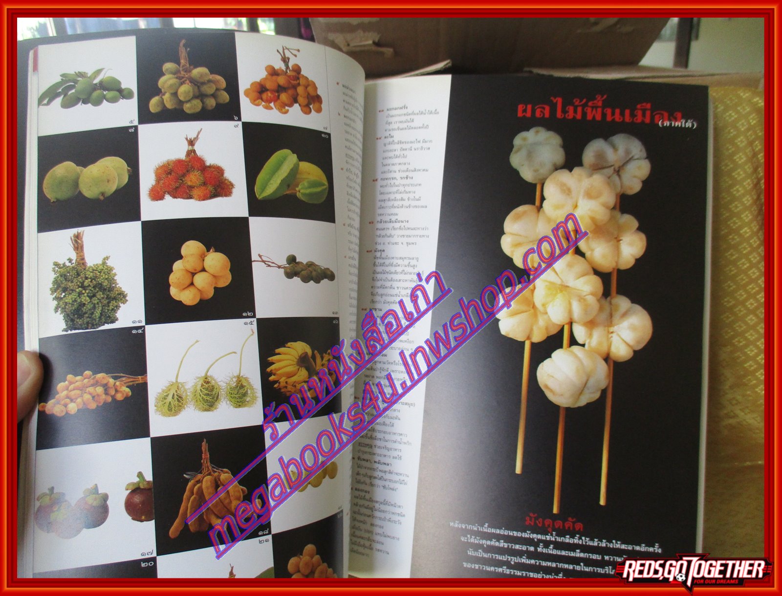 นิตยสารสารคดี ฉบับที่166 ธันวาคม 2541 ปีที่14 ผลไม้พื้นเมือง,โรงพยาบาลทางเลือก,ธนบัตร,อุทยานฯภูเรือ