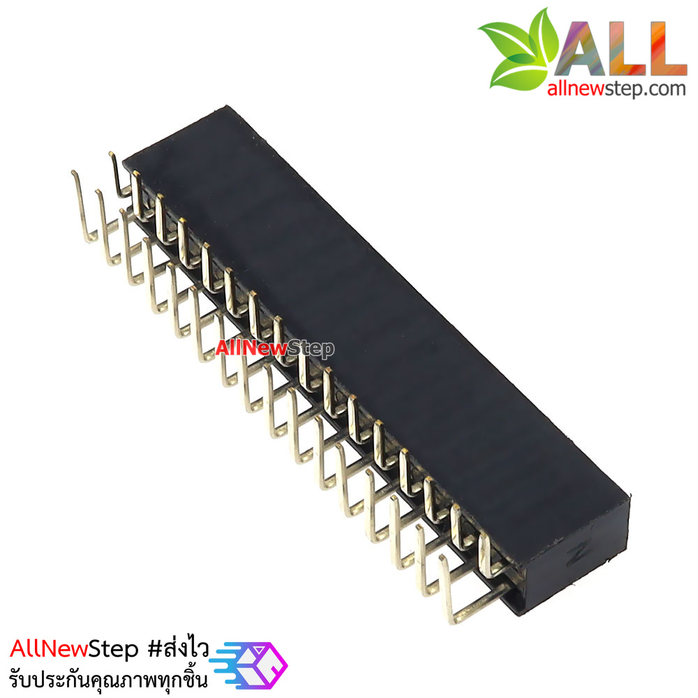 ขาก้างปลาตัวเมียแบบฉาก 2x16 ขา Double Row Hole Jack 2x16 PIN Header 2.54mm