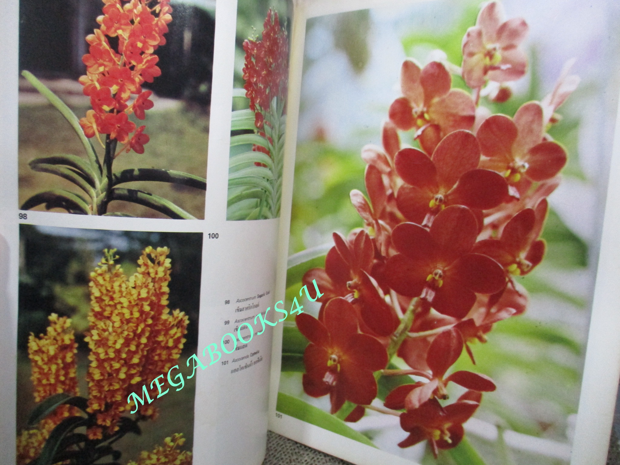 กล้วยไม้กับเมืองไทย โดย ศาสตราจารย์ ระพี สาคริก การประชุมกล้วยไม้โลก ครั้งที่ 9