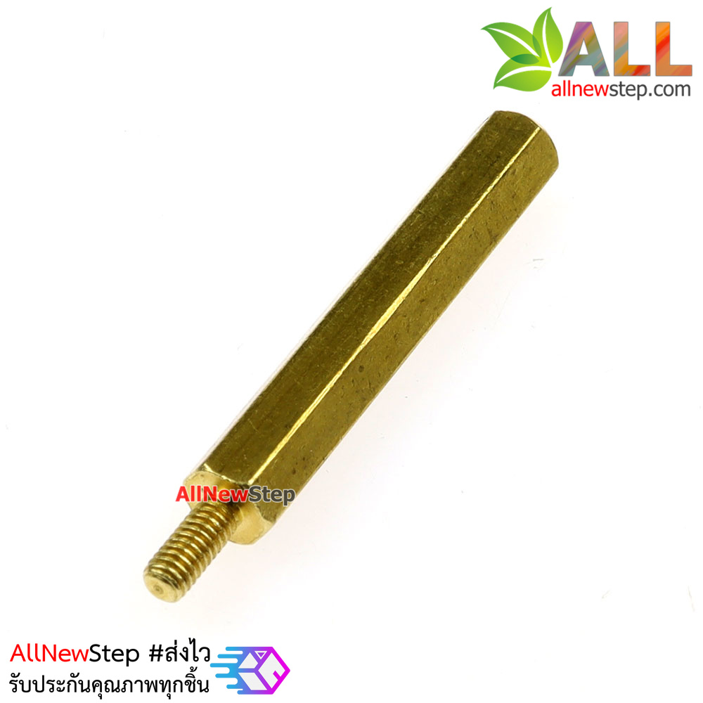 Nut screw m2.5 น็อตสกรู M2.5 ขนาด 30+6mm