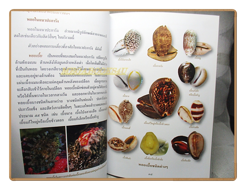 สารานุกรมไทยสำหรับเยาวชนฉบับเสริมการเรียนรู้ เล่ม18 โดยพระราชประสงค์ในพระบาทสมเด็จพระเจ้าอยู่หัว