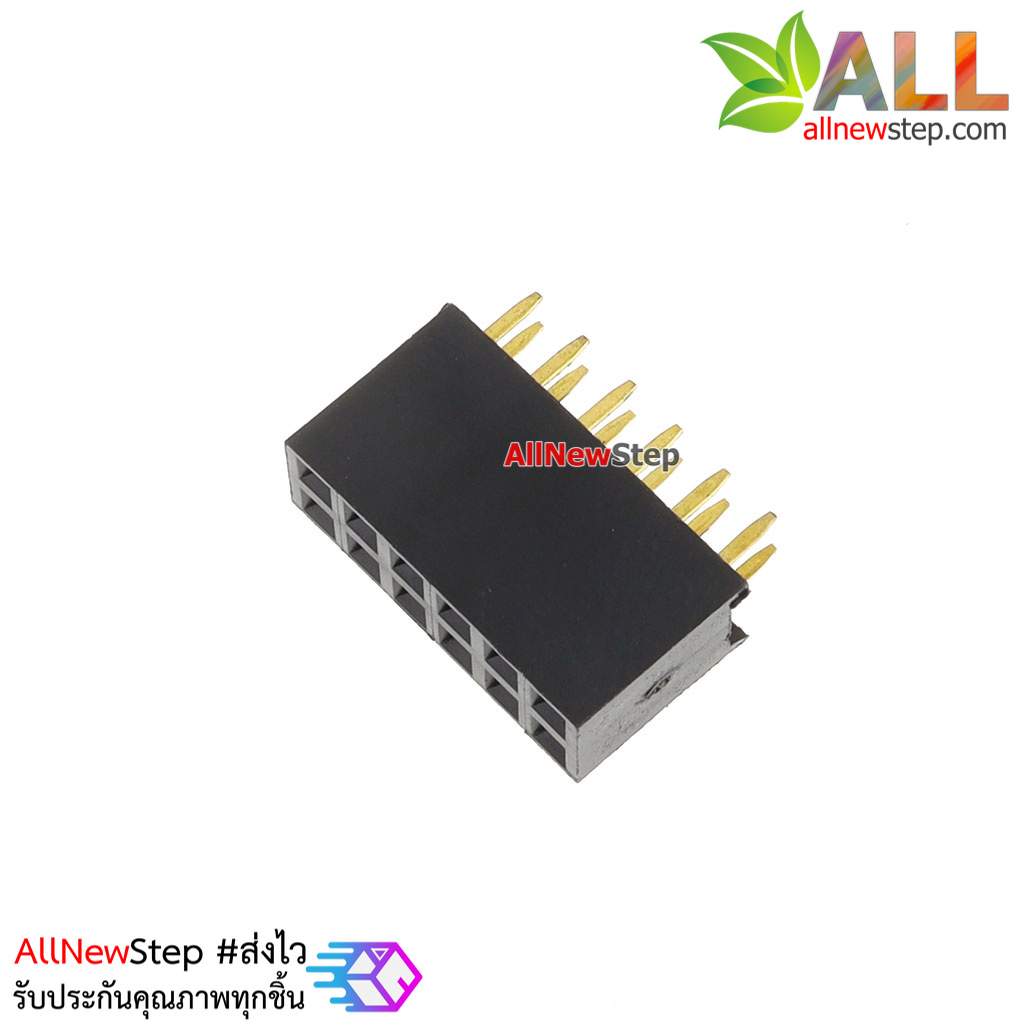 2.54mm pitch female double row female socket 2x6 pin