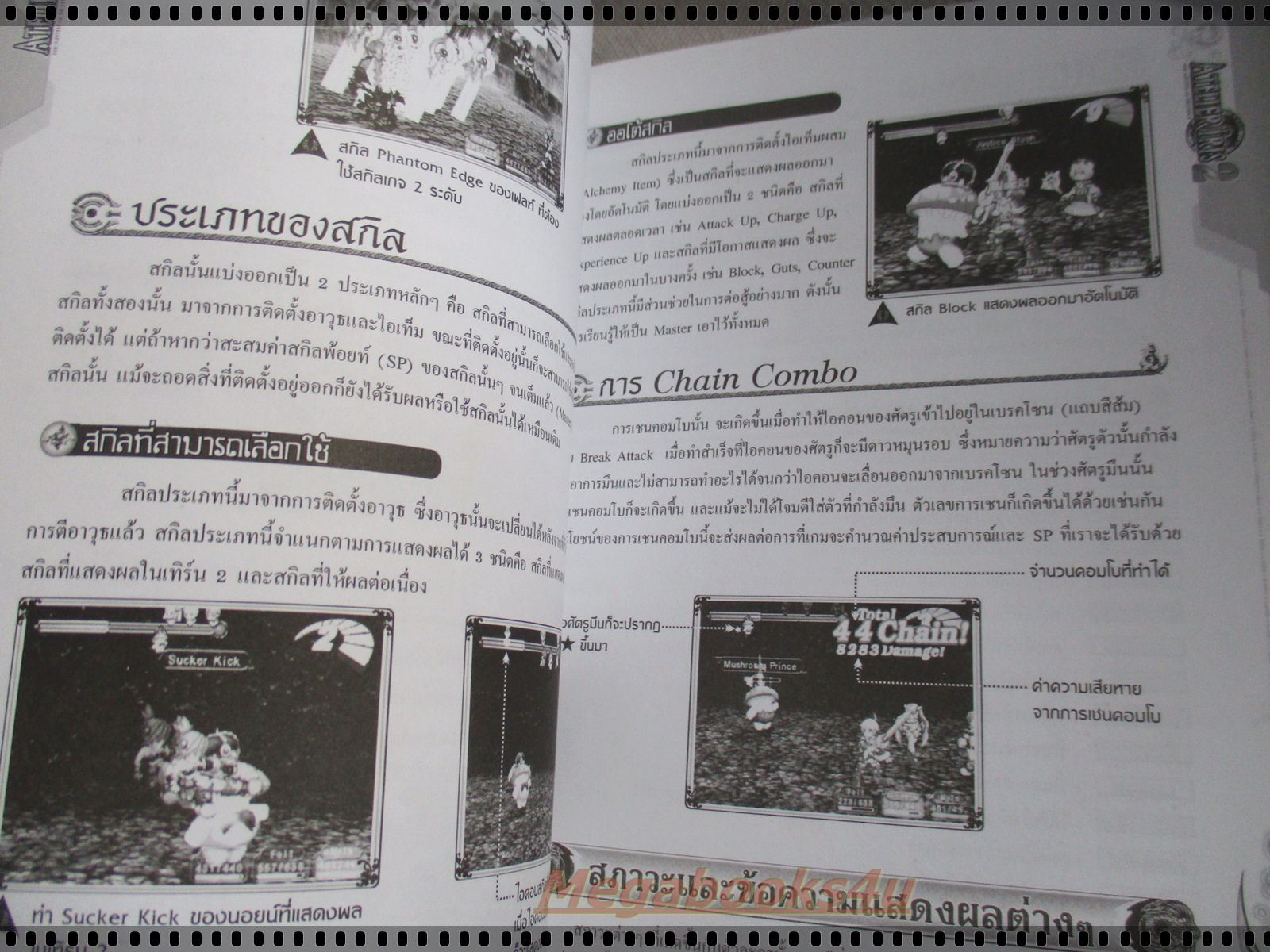 คู่มือเฉลยเกมส์ ATELIER IRIS 2 : THE AZOTH OF DESTINY