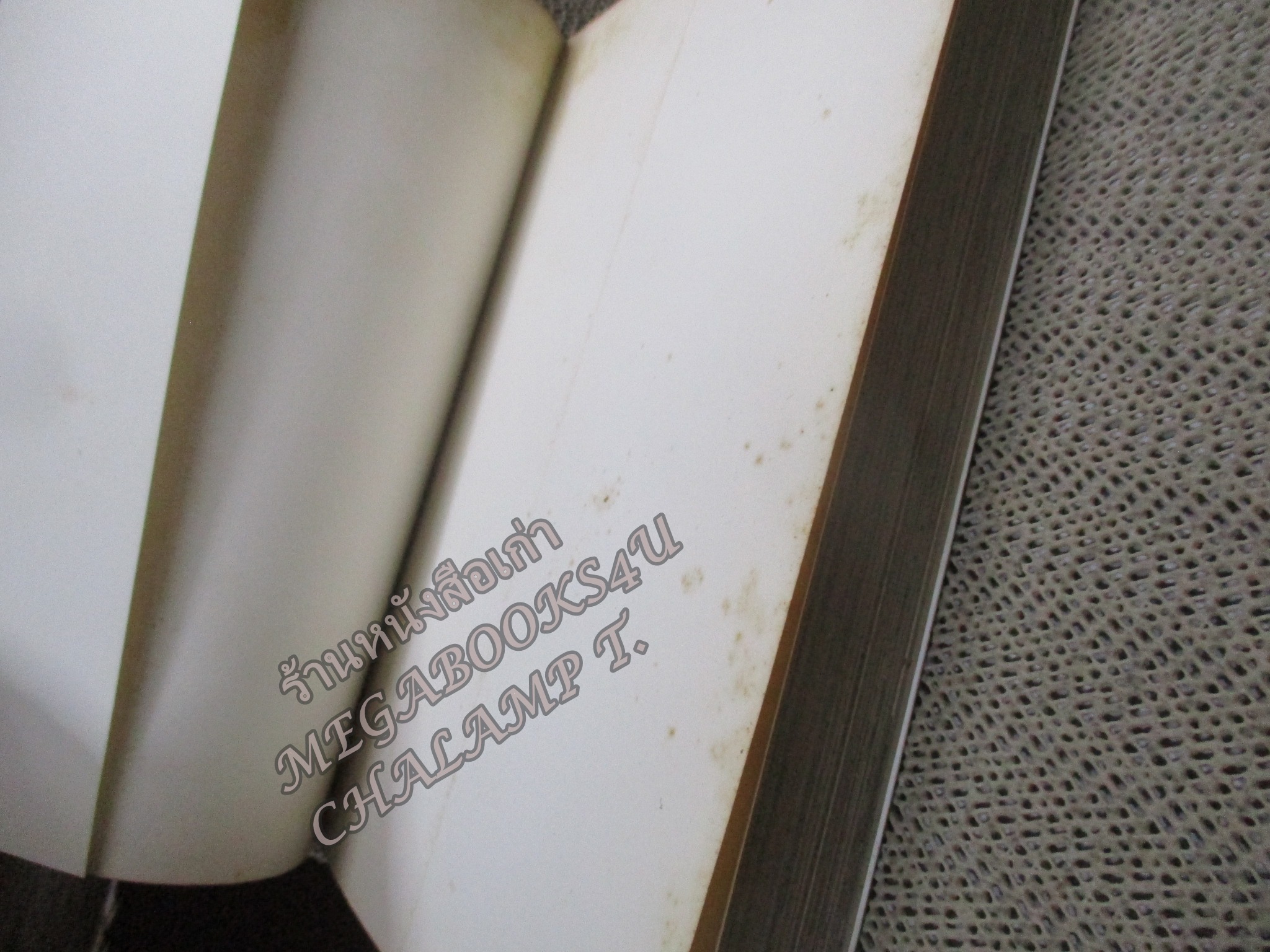 ENCYCLOPEDIA OF MODERN ARCHITECTURE สารานุกรมสถาปัตยกรรมสมัยใหม่ (ภาษาอังกฤษ)