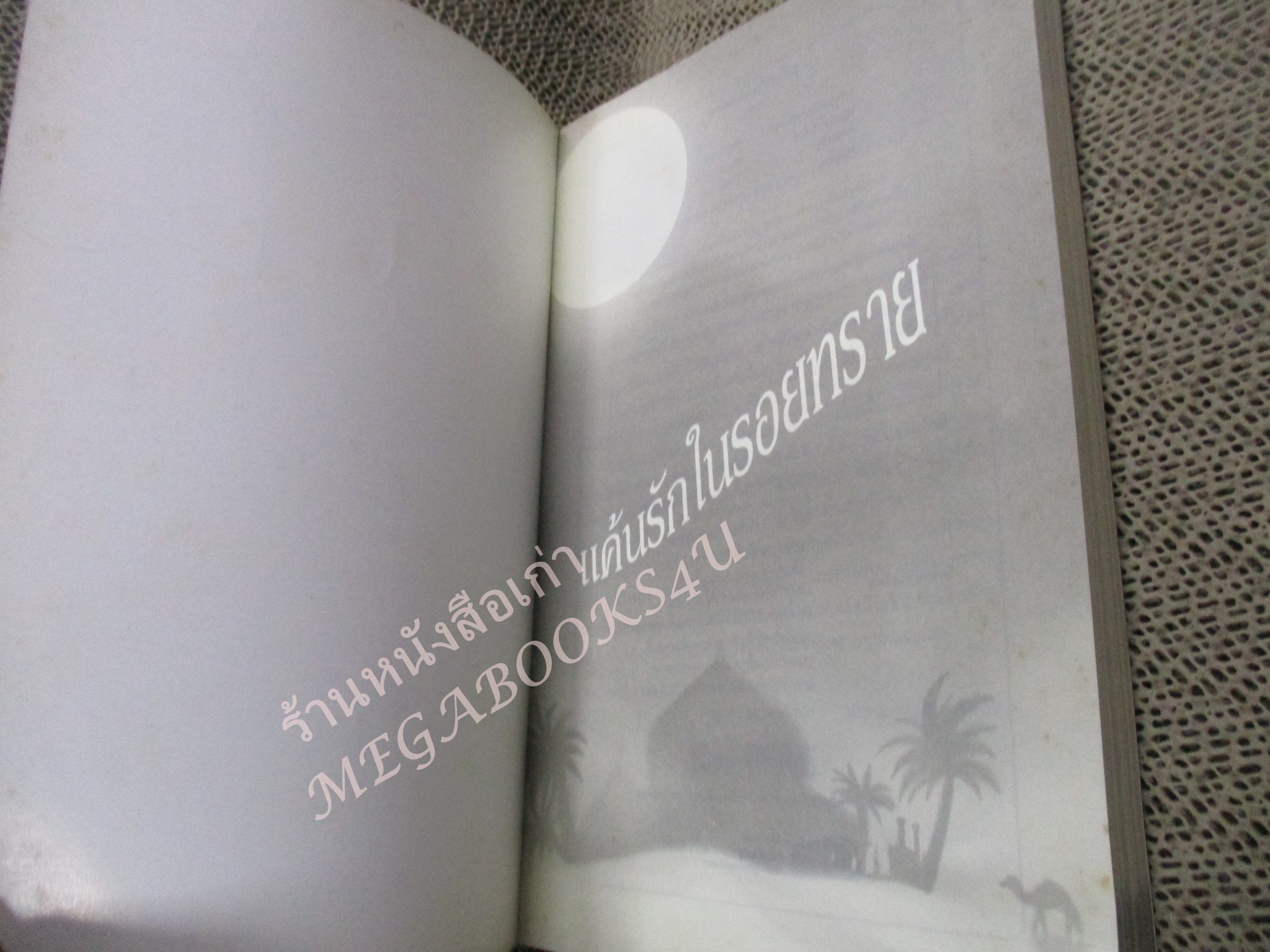 นิยาย แค้นรักในรอยทราย / ฟาริน่า / come on