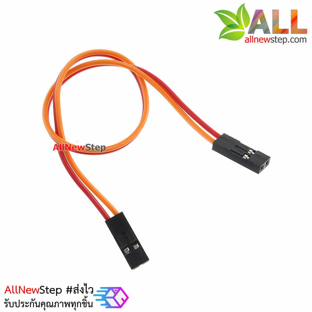 Jumper Wire 2P 2.54mm Female to Female สายไฟจัมเปอร์ เมีย-เมีย 2 เส้น ยาว 20cm