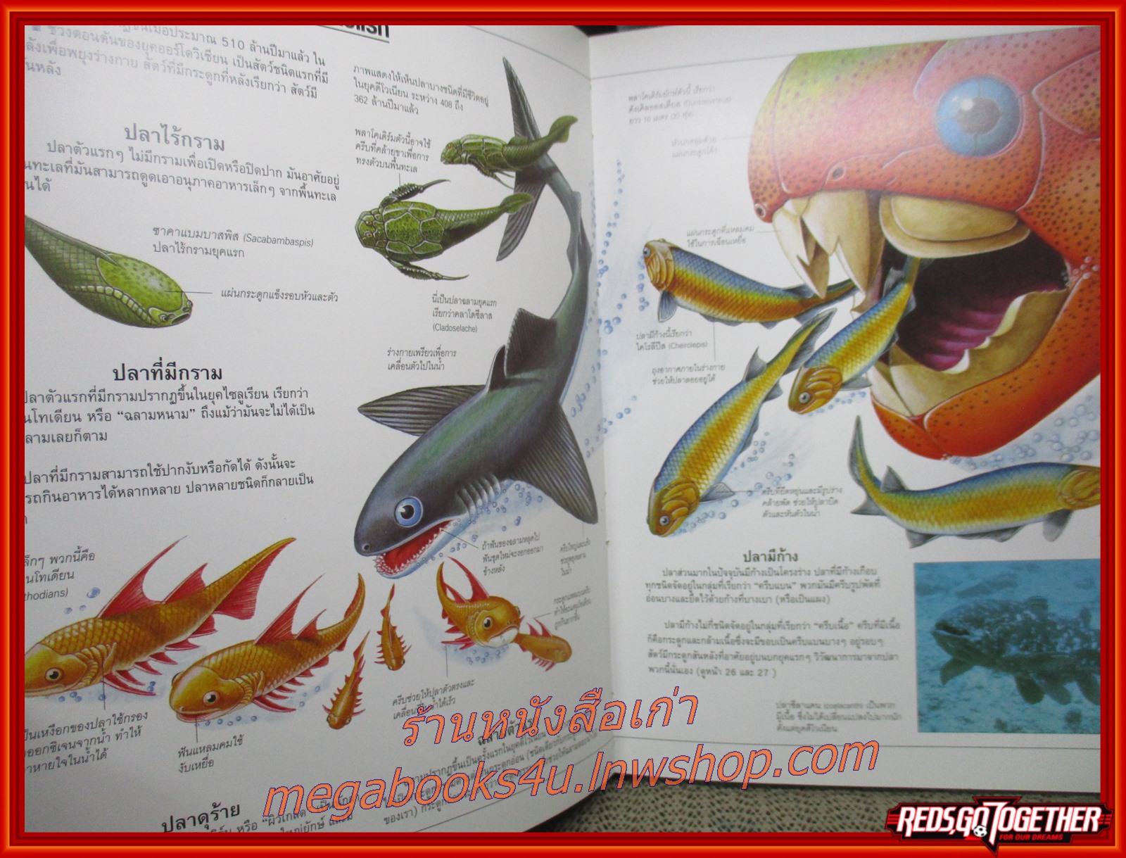 โลกยุคก่อนประวัติศาสตร์ Prehistory World / สนพ. ปาเจรา