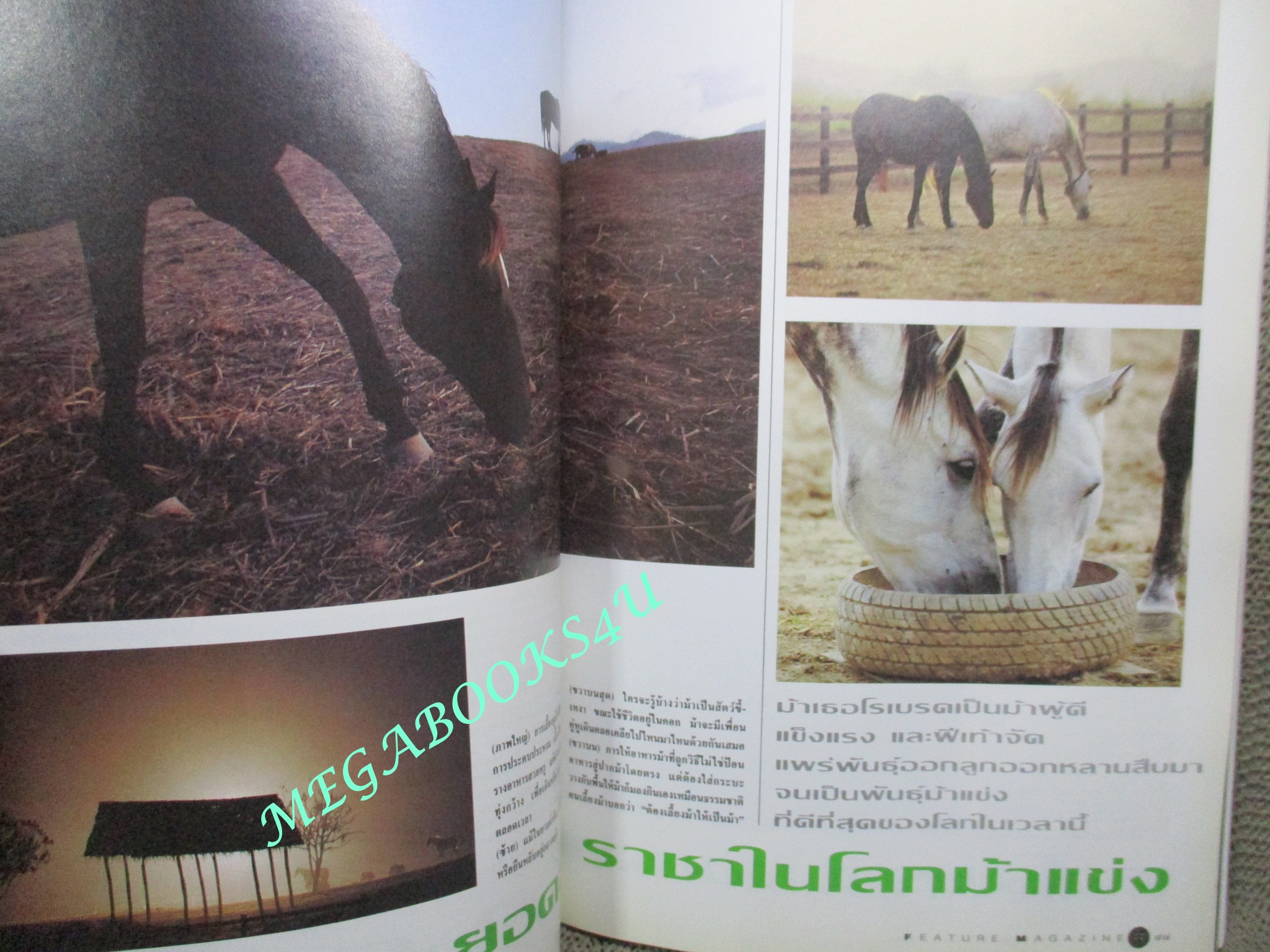 นิตยสารสารคดี ฉบับที่087 ปีที่08 ปี2535 ม้าแข่ง, ดาวเทียมสื่อสาร, ลาวอพยพ, บุรีรัมย์,