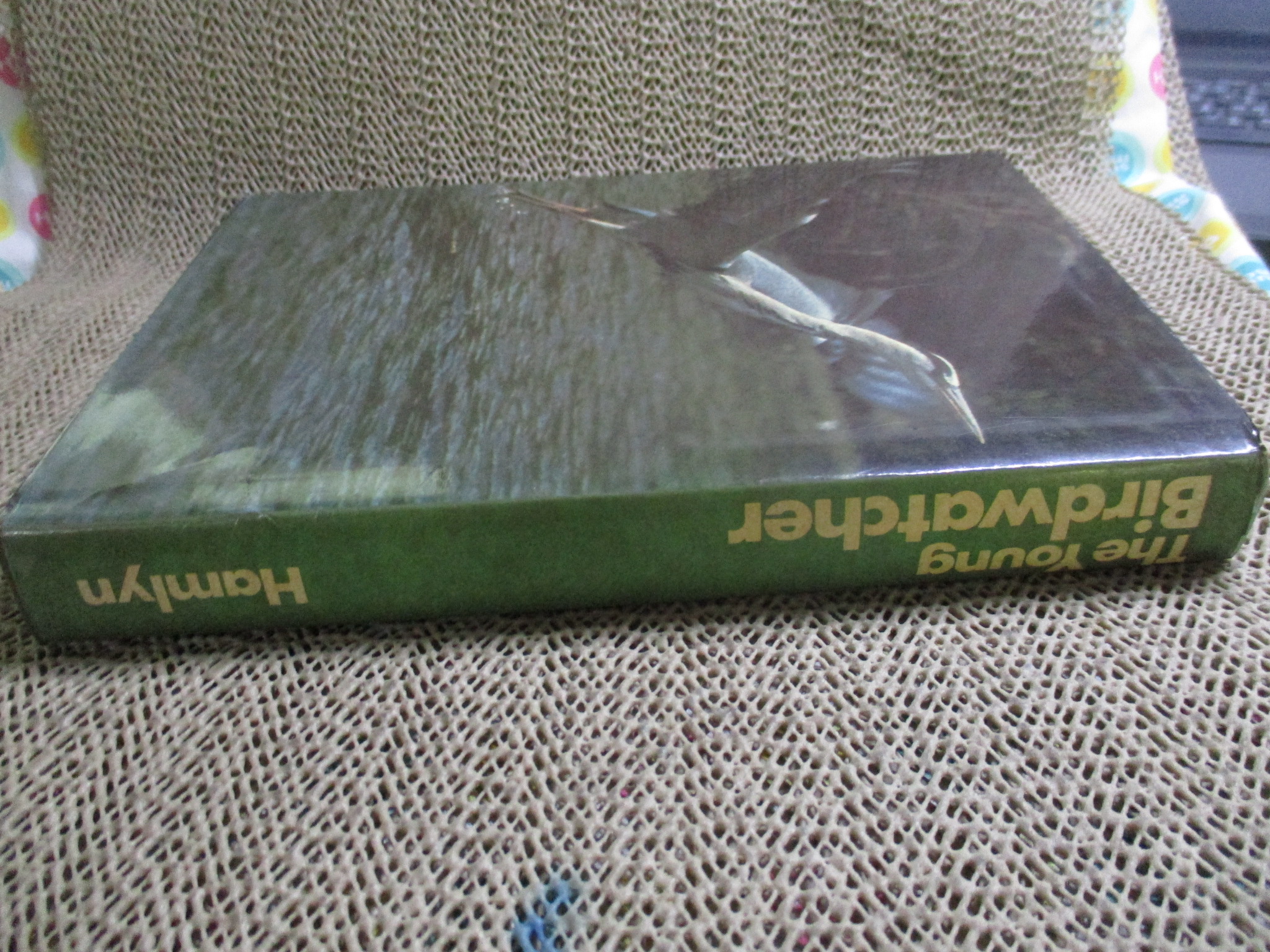 The Young Birdwatcher by Nicholas Hammond (Hardcover) / HAMLYN
