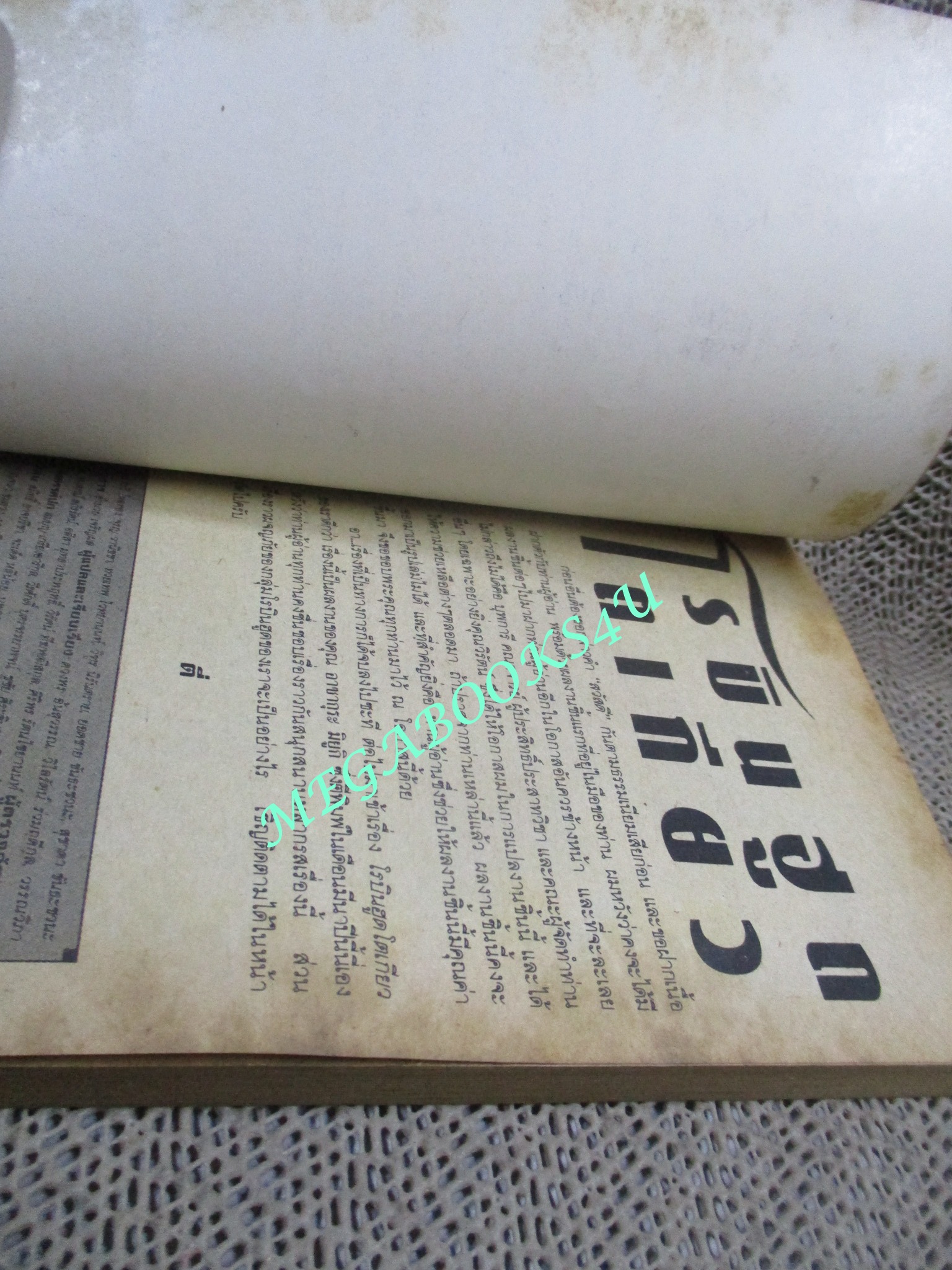 โรบินฮูดโตเกียว / อาซากุระ มิยูกิ / เล่มเดียวจบ / สยามฯ /