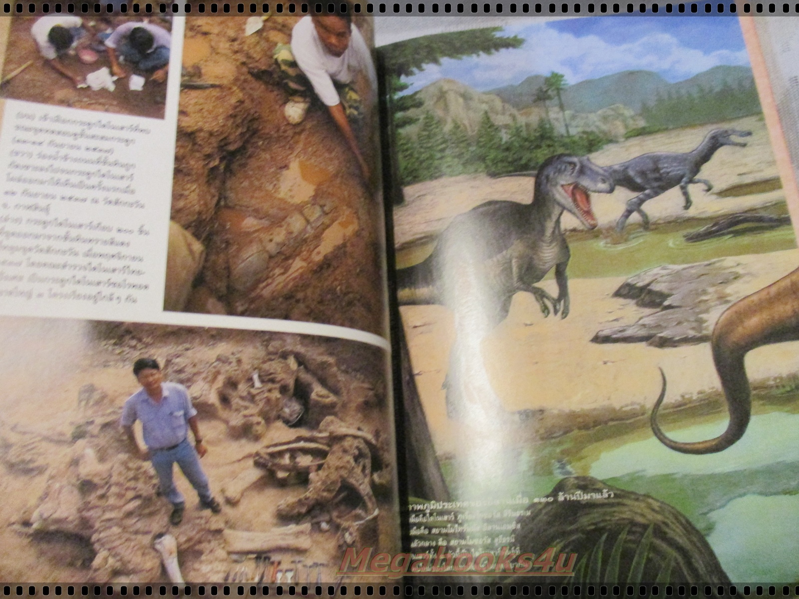 นิตยสารสารคดี ฉบับที่149 ปี2540 ไดโนเสาร์ ลูกตาว กอริลลา อุทยานฯเขาชะเมา