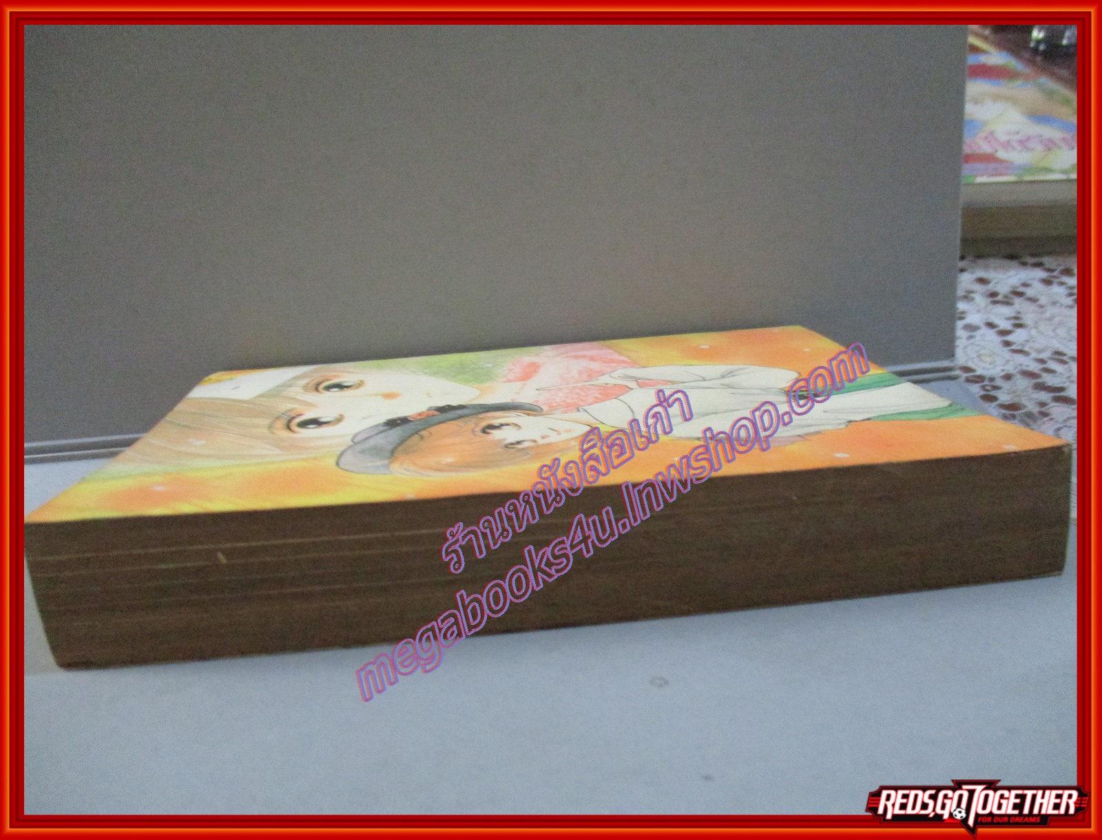 การ์ตูนบ้าน วันวานปล่อยมันทิ้งไป โดย ISTUMI MOMOI เล่มเดียวจบ สนพ.หมึกจีน