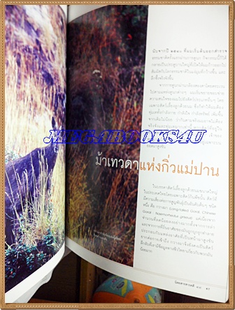 นิตยสารสารคดี ฉบับที่262 ธันวาคม 2549 ปีที่22 ตามรอยนเรศวรมหาราช,เซนได,กวางผาแห่งดอยอินทนนท์