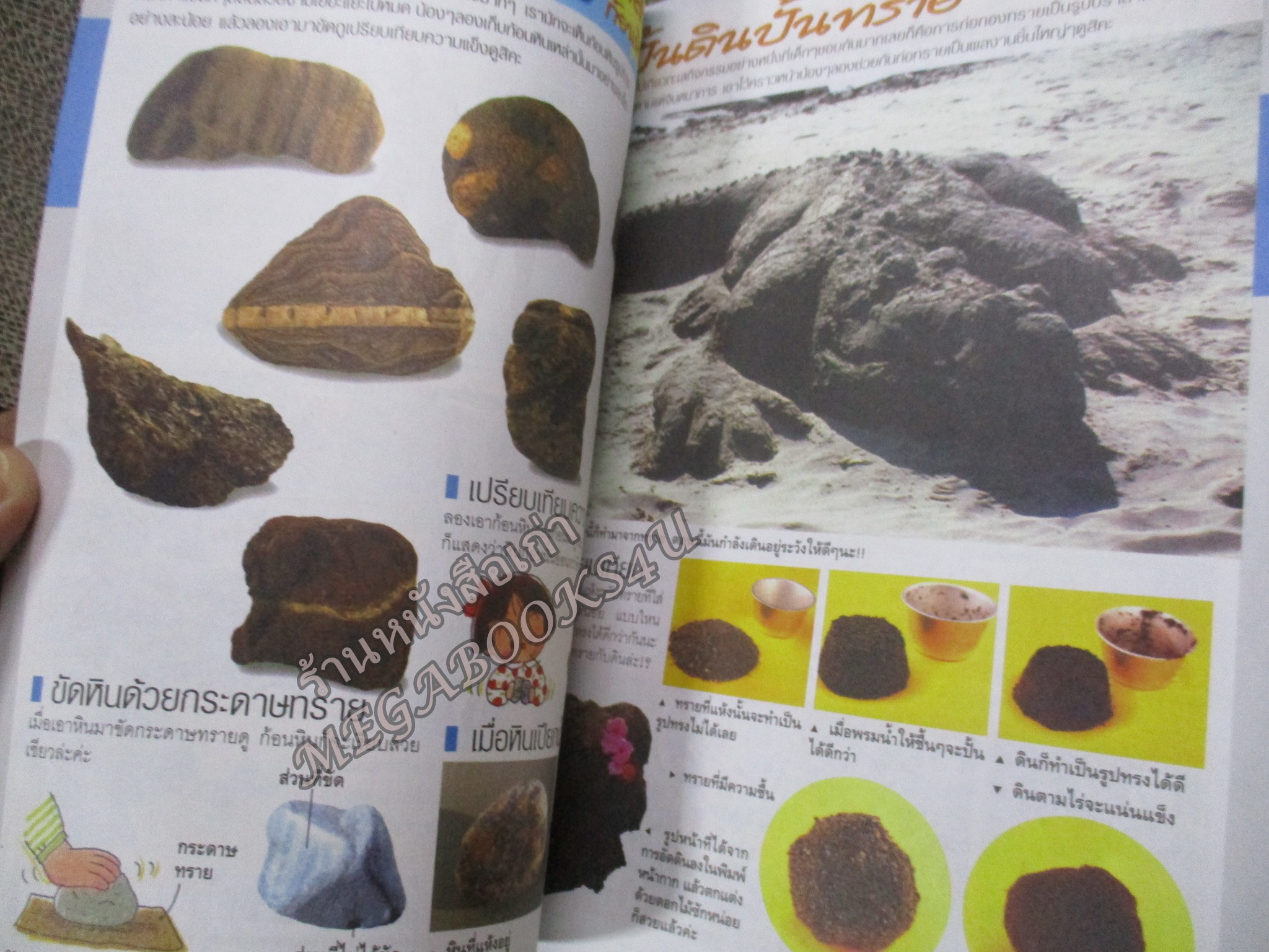 ทีวีแมกกาซีน ฉบับที่145 ปี2004 สภาพดี--GUNDAM SEED , DIGIMON FRONTIER,