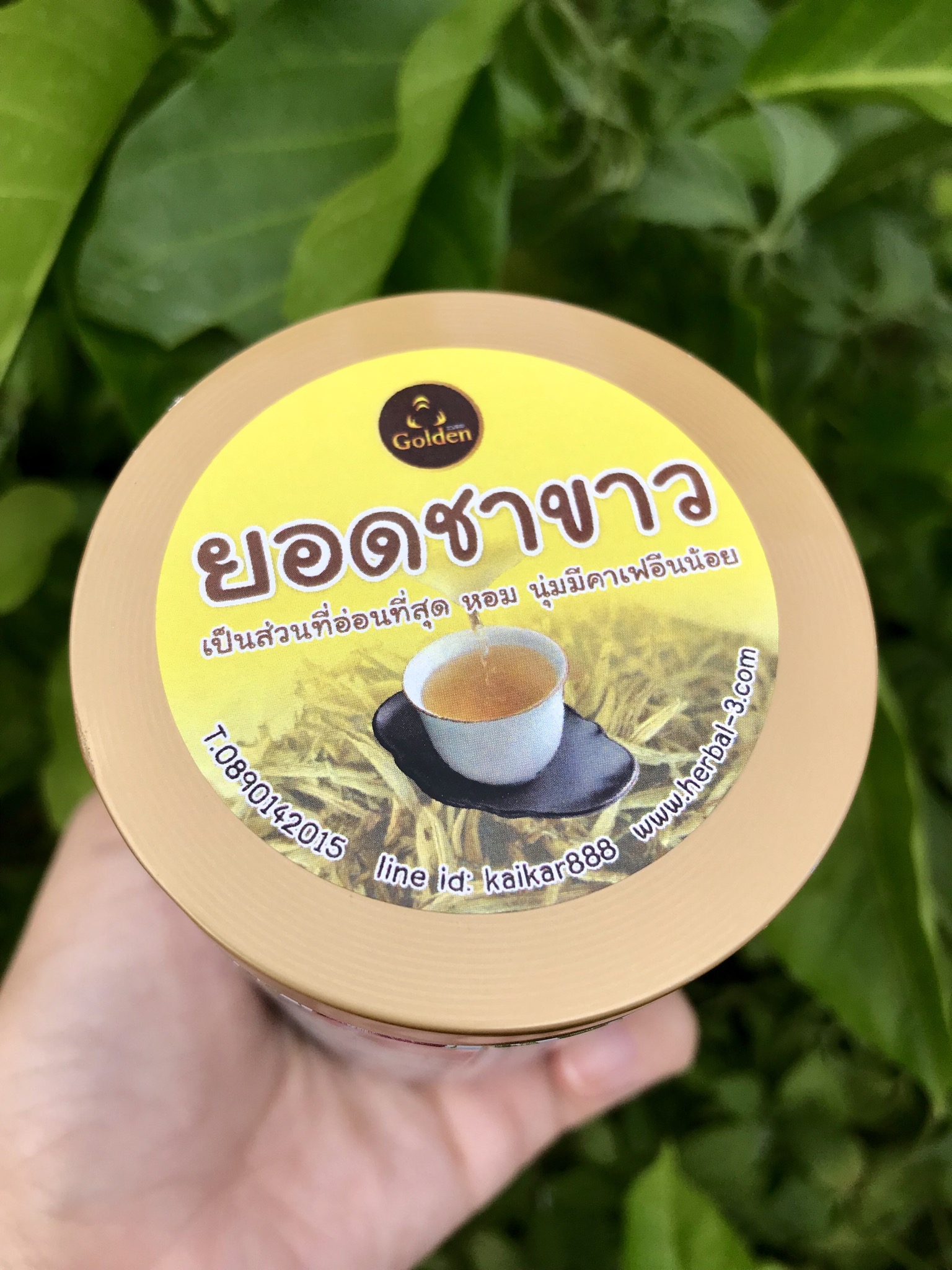 ชายอดชาขาว