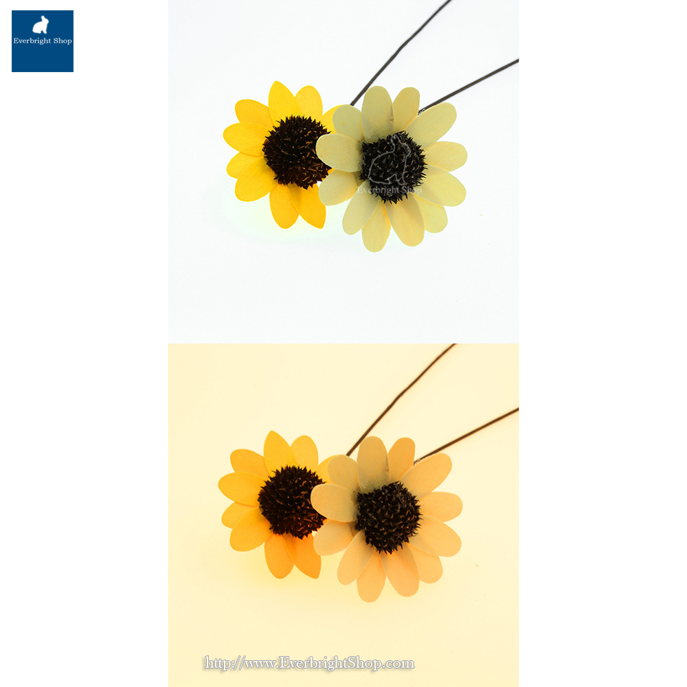SP-38 Shadowless Panel