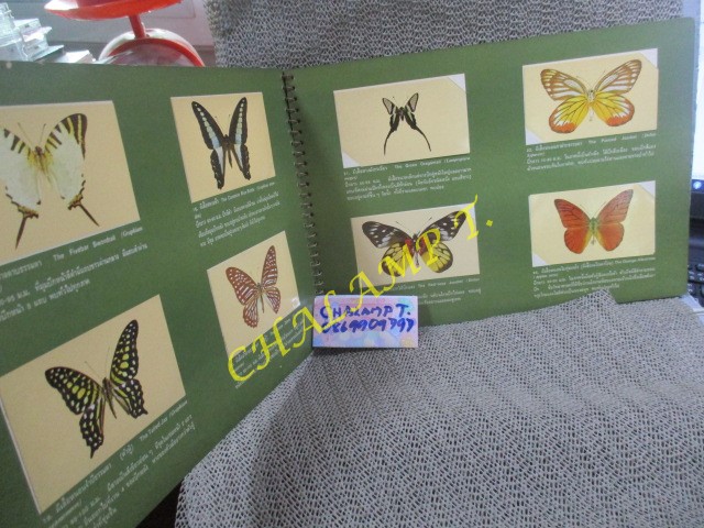 อัลบั้มสะสมรูปผีเสื้อไทย เกือบครบทุกรูป ขาด2รูปตามภาพ