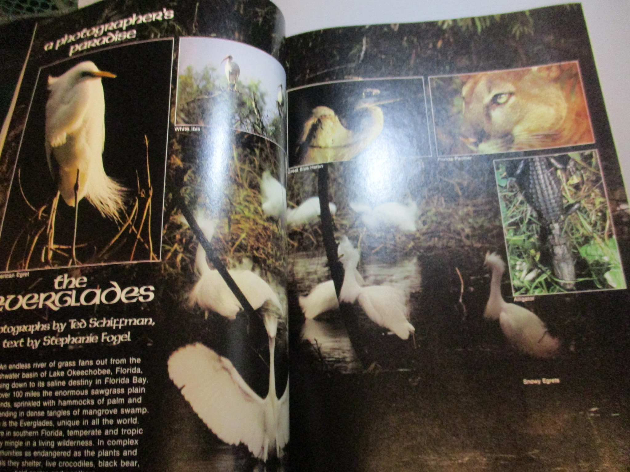 นิตยสารกล้องและการถ่ายภาพ PHOTOGRAPHIC ฉบับเดือน FEB 1980