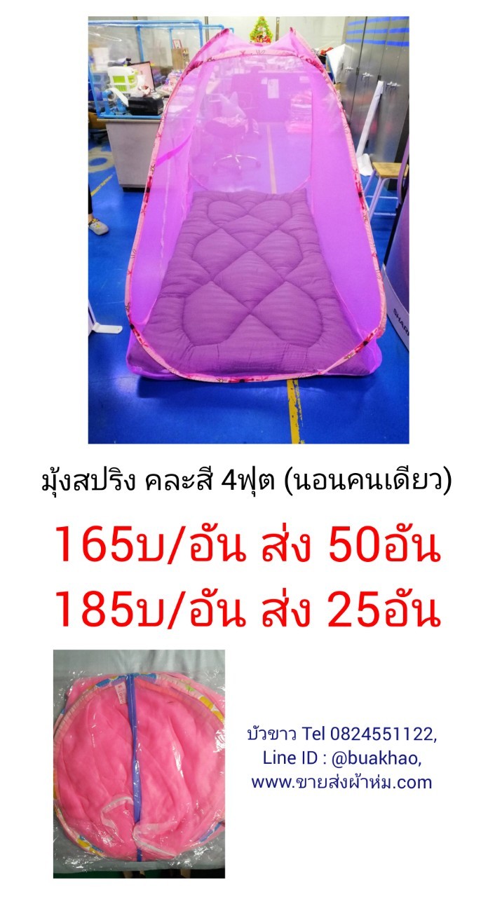 มุ้งสปริง มุ้งเต็นท์ 4ฟุต หลังละ 165บาท ส่ง 50หลัง
