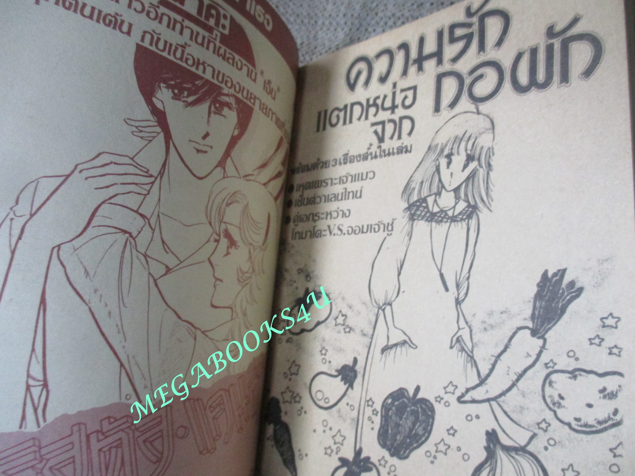 ความรักแตกหน่อจากกอผัก / นาคาโตะ อาทารุ / เล่มเดียวจบ