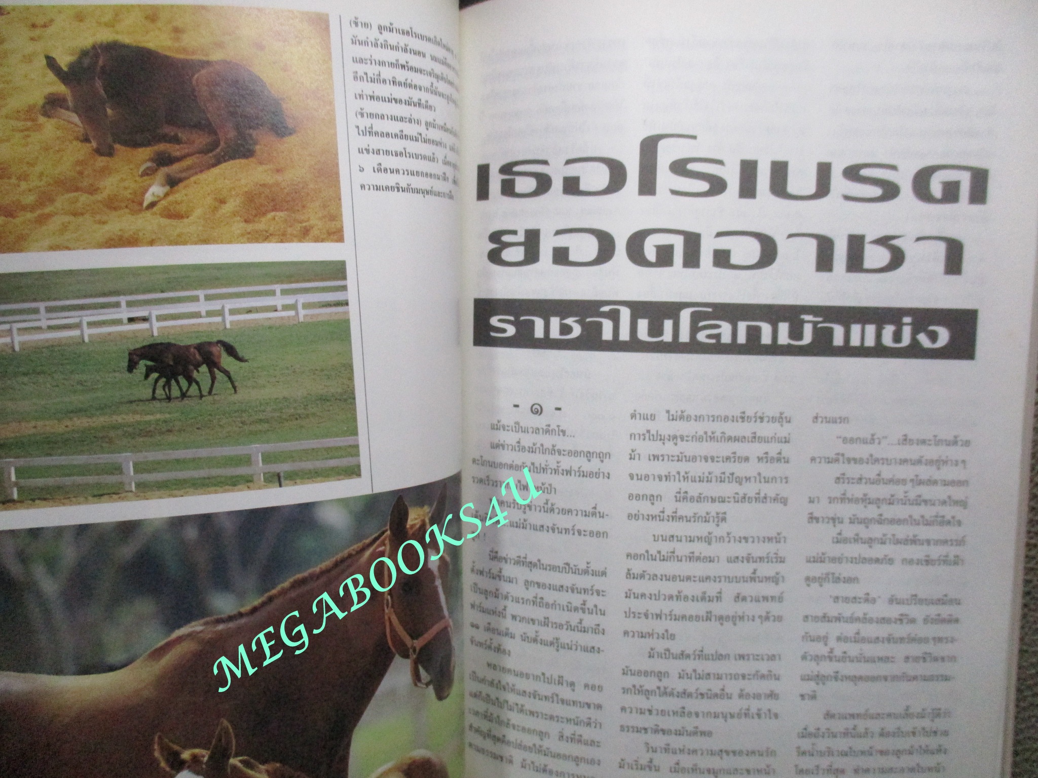 นิตยสารสารคดี ฉบับที่087 ปีที่08 ปี2535 ม้าแข่ง, ดาวเทียมสื่อสาร, ลาวอพยพ, บุรีรัมย์,