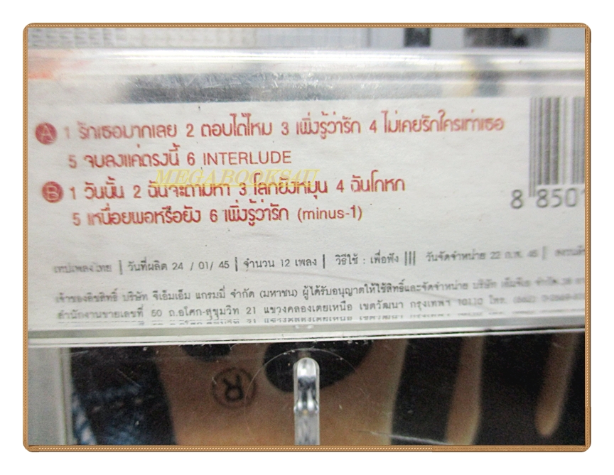 เทปเพลงไทยสากล หนุ่ย นันทกานต์ ฤทธิวงศ์ ชุด WONDERFUL LIFE
