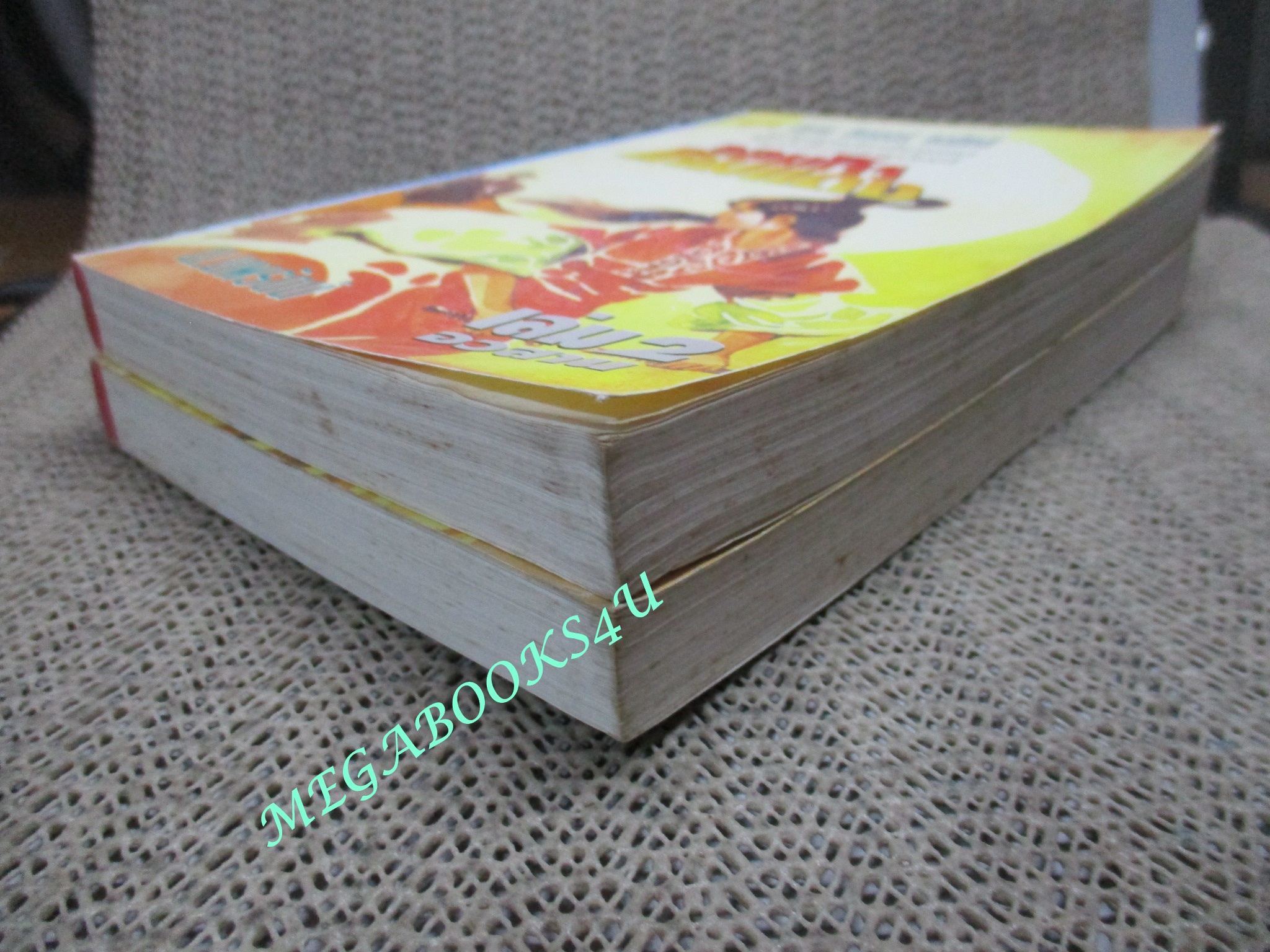 จอมโจรโคมแดง ครบชุด2เล่มจบ / น.นพรัตน์ / สนพ.สยามฯ (นิยายจีนกำลังภายใน) สภาพดี มีฝุ่นเกาะตามสันกระดาษประปราย